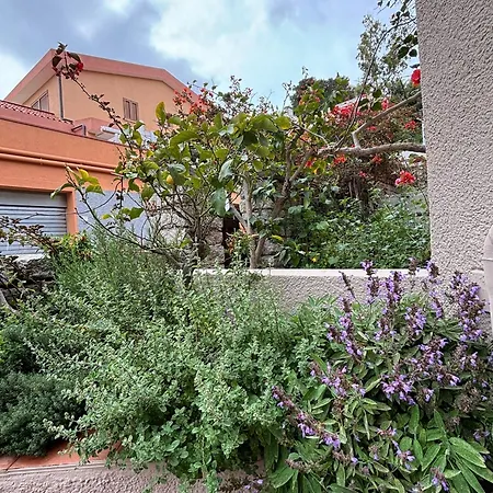 Mare Fuori 팔라우